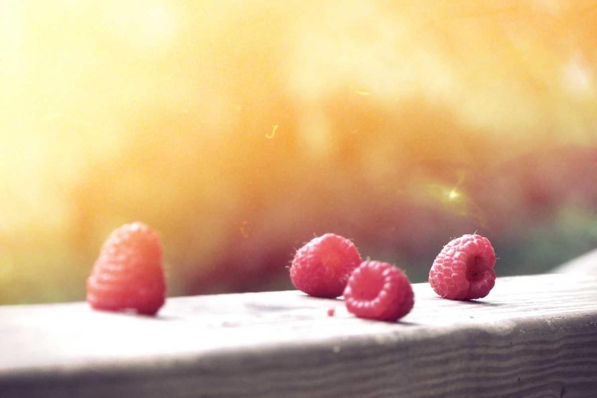 Educación: proponen reforma del currículo escolar