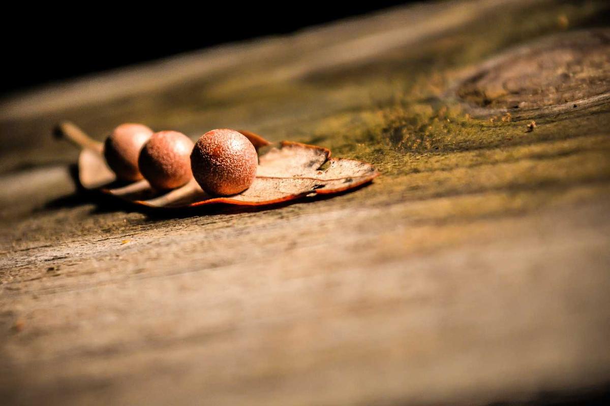 Ciencia: hallan exoplaneta similar a la Tierra