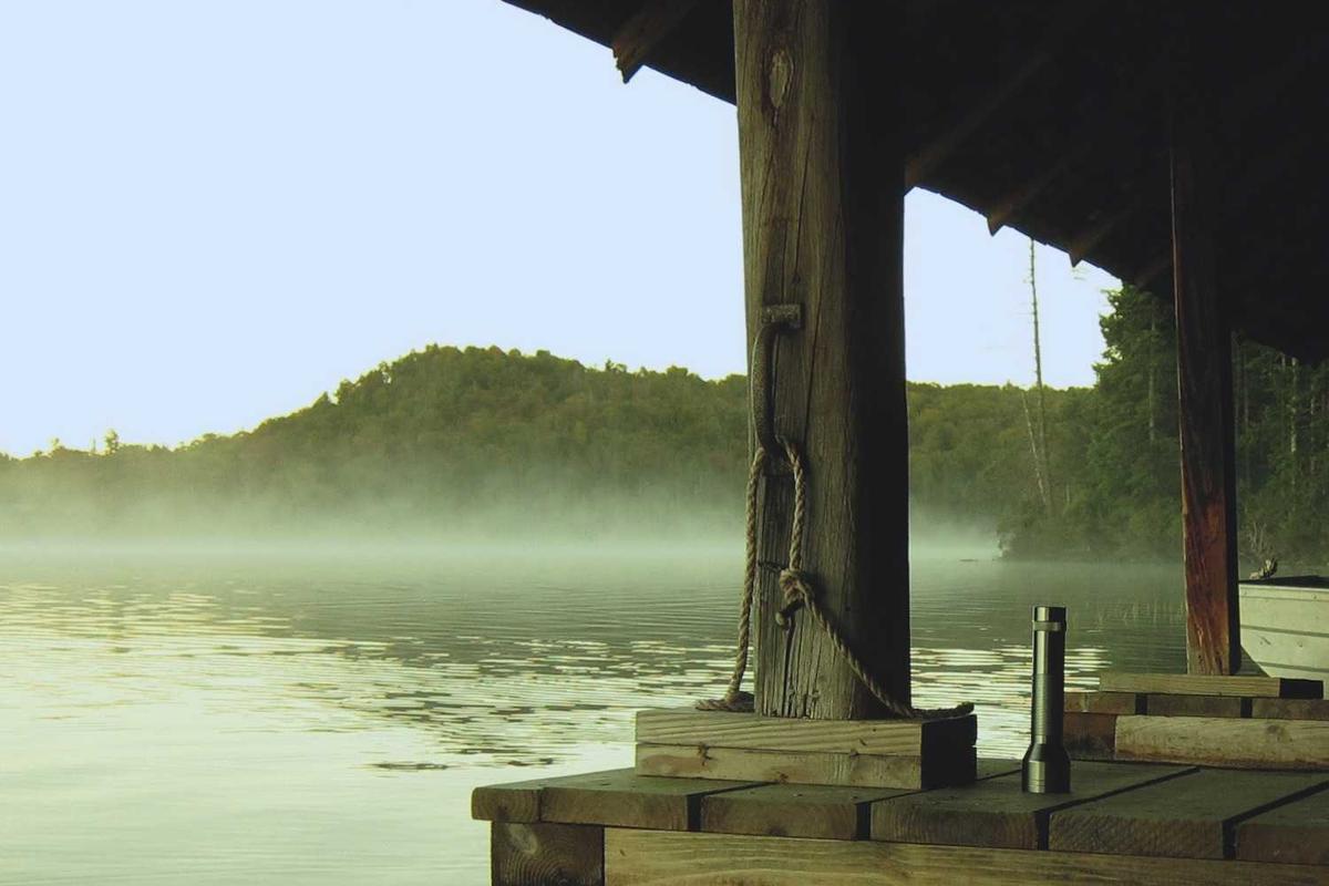 Transporte: modernizan flota de autobuses