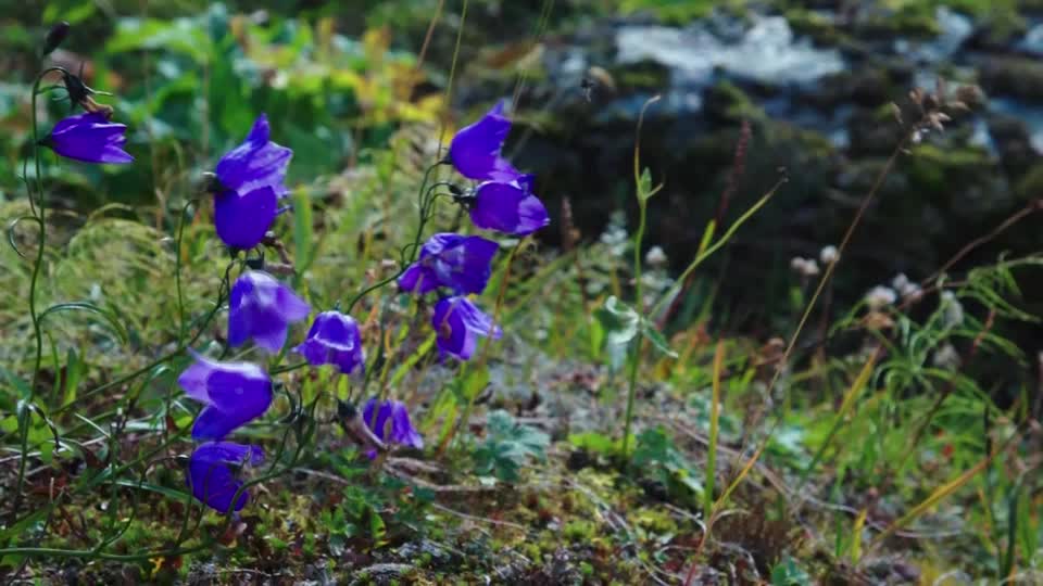El Banco de Semillas del Milenio cumple 25 años
