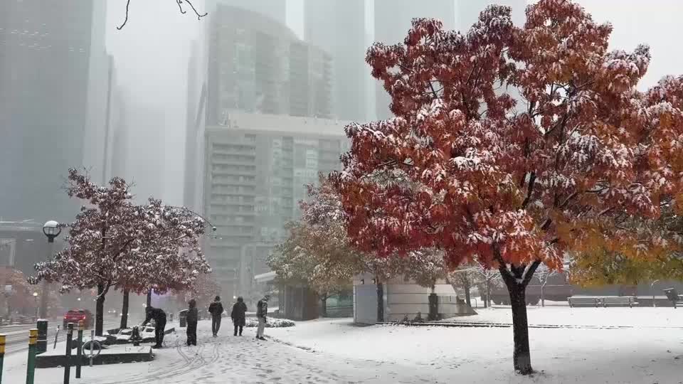 Toronto registra la primera nevada de la temporada