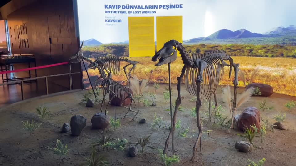 Turquía recrea megafauna antigua con tecnología 3D