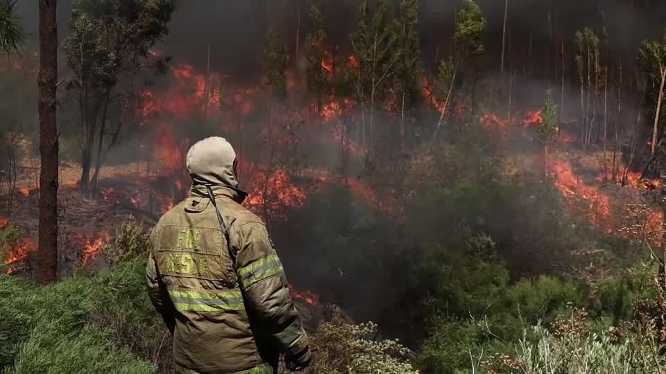 Los vientos reavivan un incendio forestal cerca de Ciudad del Cabo