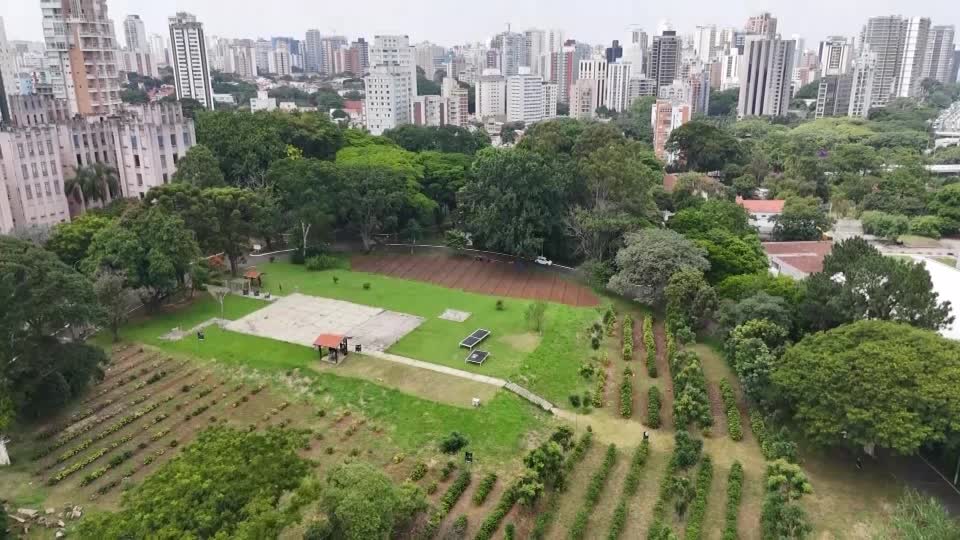 São Paulo amplía plantación urbana de café