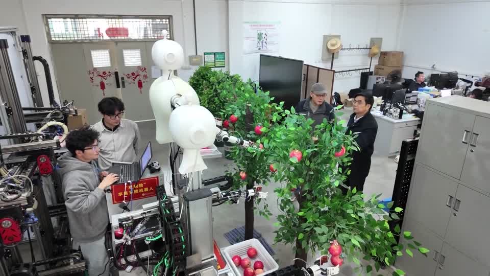 China presenta robot recolector de manzanas
