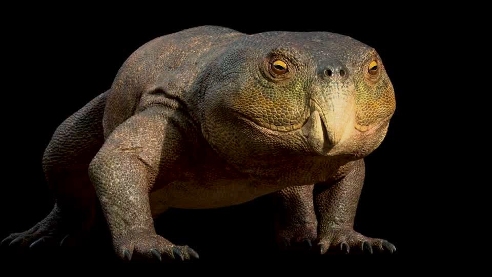 Nuevo reptil triásico hallado en Brasil