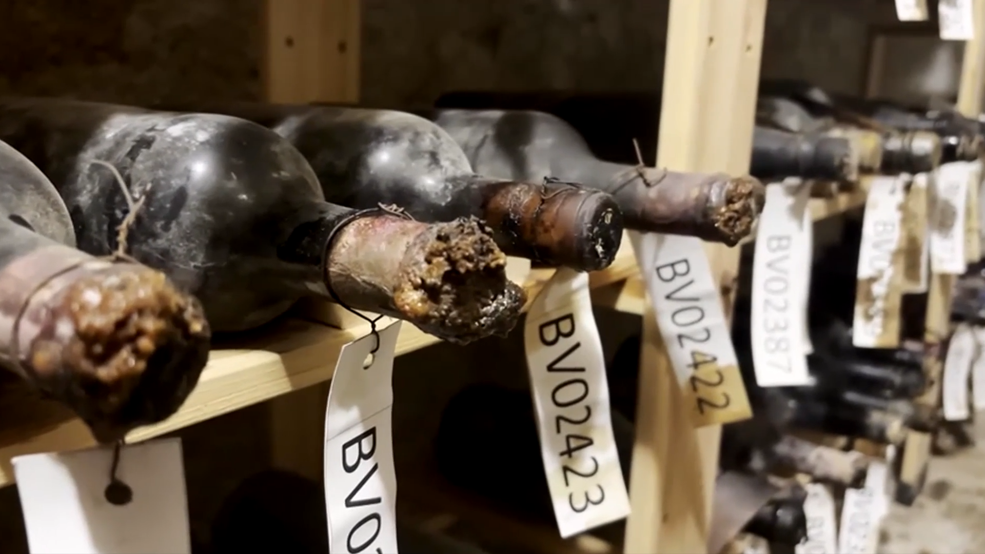 Un tesoro de vinos en un castillo checo revela historia