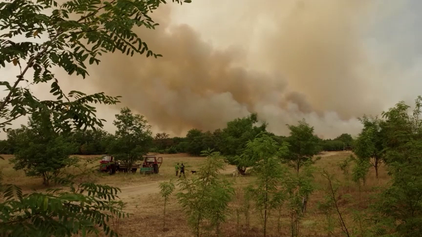 Serbia combate múltiples incendios forestales
