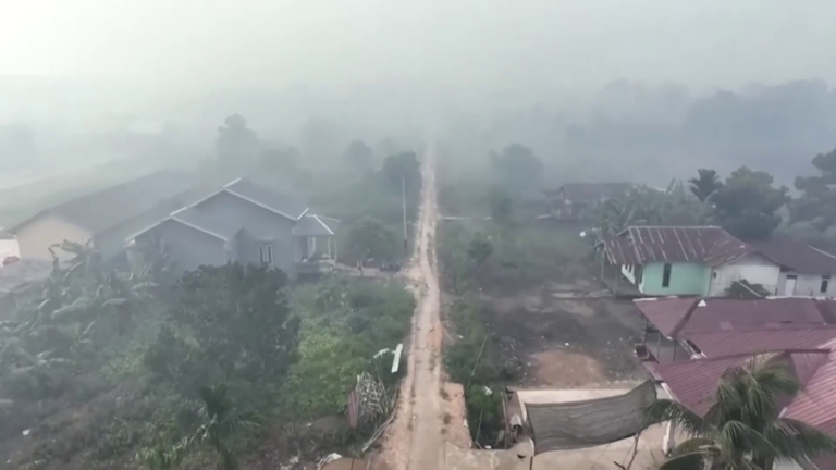Incendios en Indonesia disparan emisiones globales